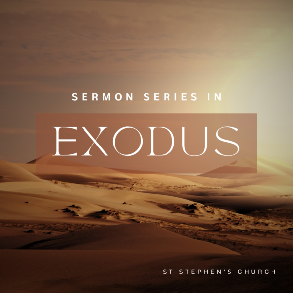 Exodus 21 -23 Image
